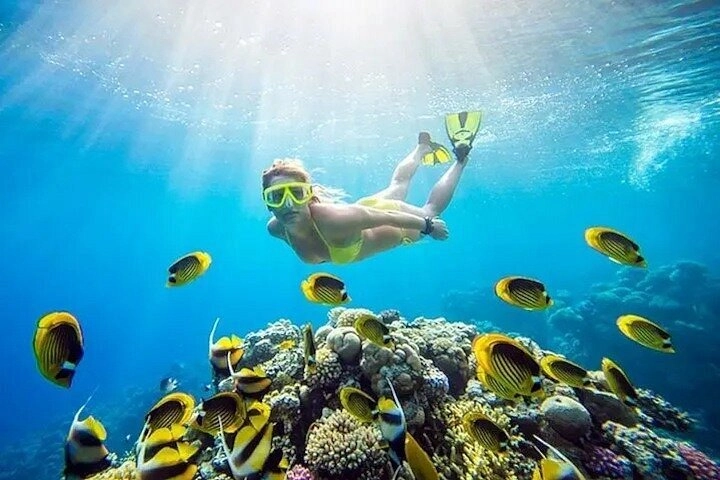 Snorkeling